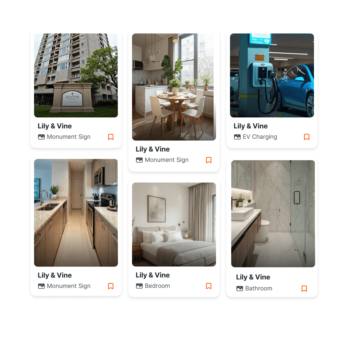 Digital Asset Management interface showing organized media library